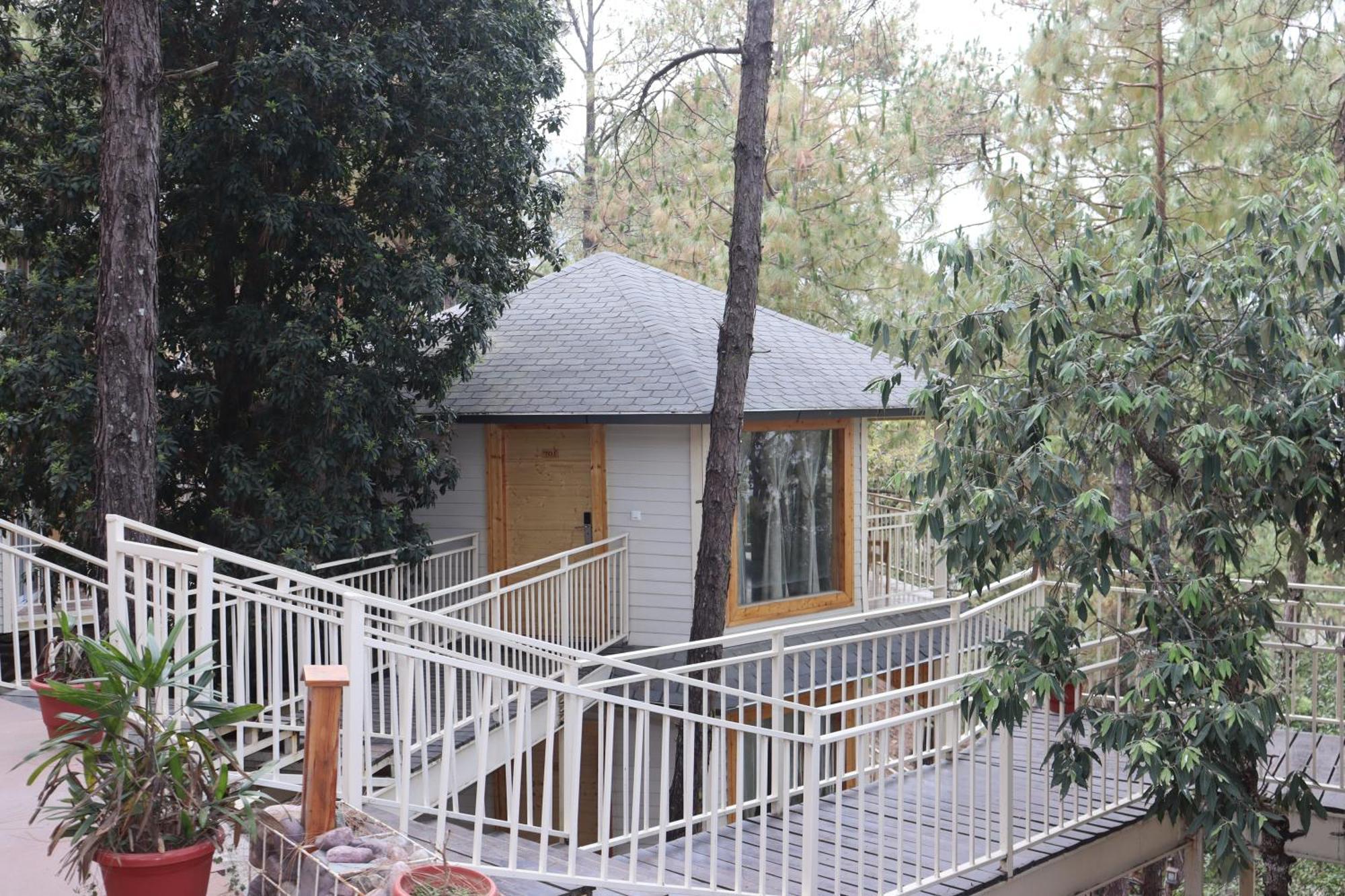 Hotel The Woods Retreat Lansdowne Esterno foto